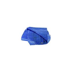 TOLDO PLASTICO 70 GRAMOS 3X5 MTS. AZUL