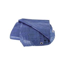 TOLDO PLASTICO 70 GRAMOS 5X8 MTS. AZUL