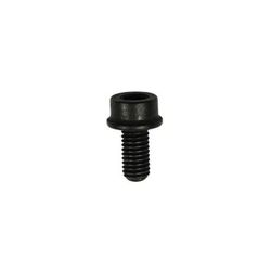 TORNILLO 5X10