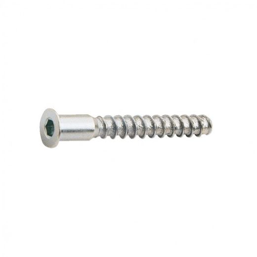 TORNILLO ENSAMBLAR 5X50MM PAV. 6U.EHS