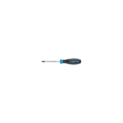 WITTE-DEST.PROTOP II PH.2X100MM
