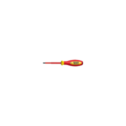 WITTE-DEST.PROT.VDE.PL.PH.0X60MM